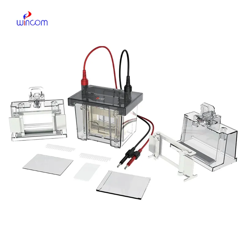 Care & Maintenance of double bed hospital bed supplier